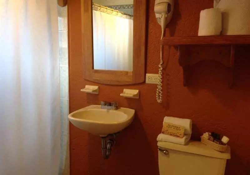 Fotos del hotel El Mesón De Los Poetas:  4