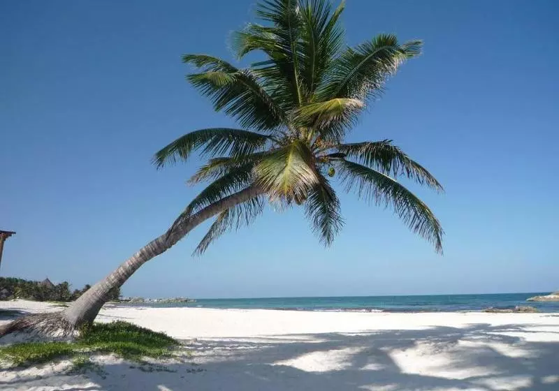 Fotos del hotel Hemingway Romantic Ecoresort:  10