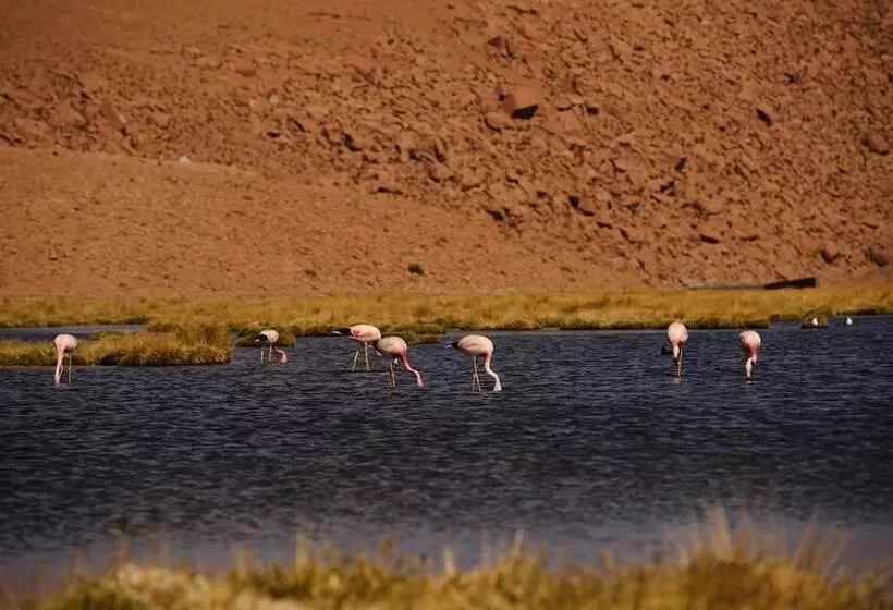 Fotos del hotel Noi Casa Atacama:  8