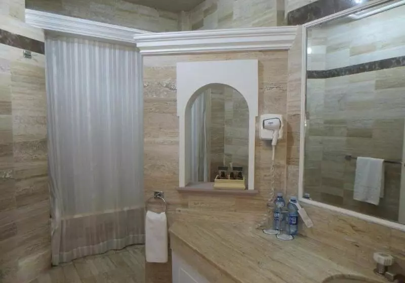 Fotos del hotel Gran Hotel Alameda:  3