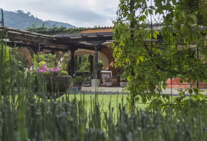 Fotos del hotel Casa Santa Rosa Hotel Boutique:  23