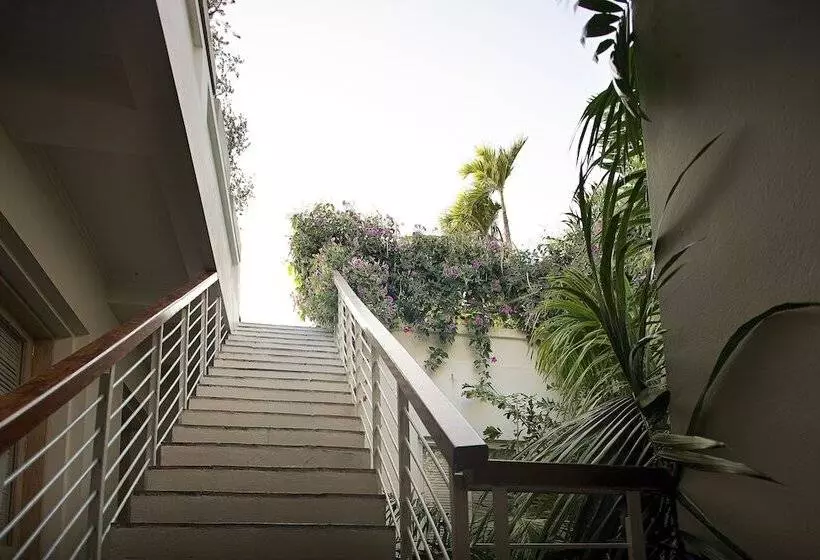 Fotos del hotel Casablanca:  23