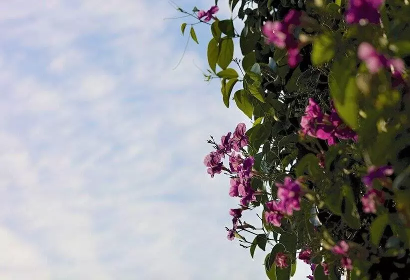 Fotos del hotel Casablanca:  5