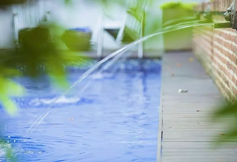 Fotos del hotel Casablanca:  7