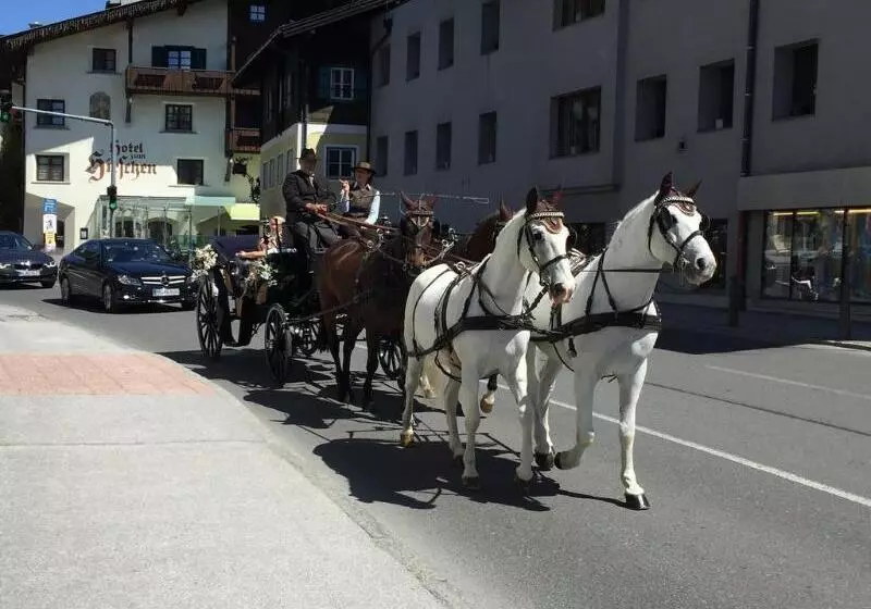 Fotos del hotel Der Schmittenhof:  10