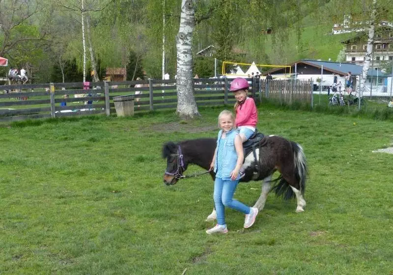 Fotos del hotel Der Schmittenhof:  12