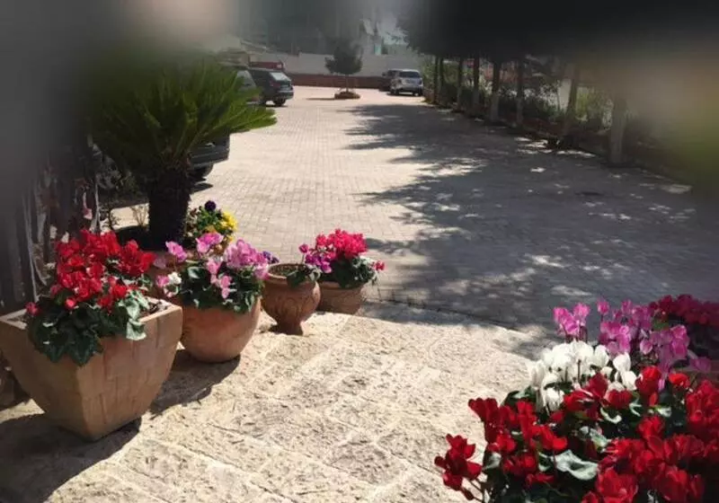 Fotos del hotel Dinasty:  9