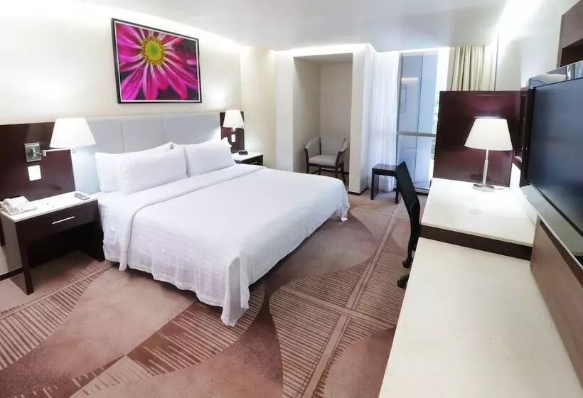 Fotos del hotel Holiday Inn Hotel & Suites Mexico Medica Sur, An Ihg:  7