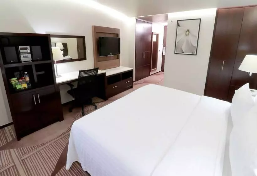 Fotos del hotel Holiday Inn Hotel & Suites Mexico Medica Sur, An Ihg:  9