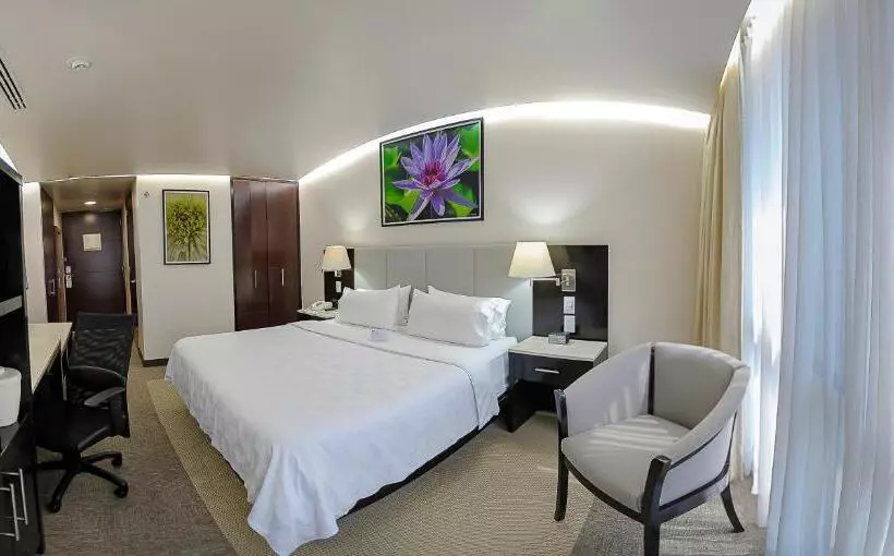 Fotos del hotel Holiday Inn Hotel & Suites Mexico Medica Sur, An Ihg:  17