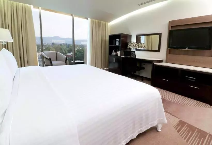 Fotos del hotel Holiday Inn Hotel & Suites Mexico Medica Sur, An Ihg:  24