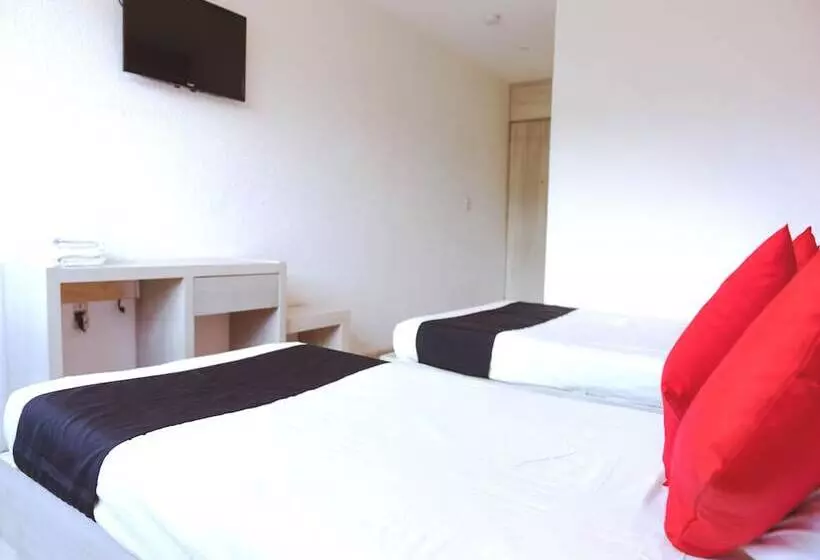 Fotos del hotel Hotel Italia:  17