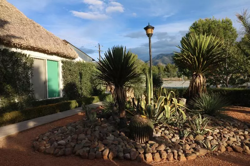 Fotos del hotel Mision Express Saltillo:  9