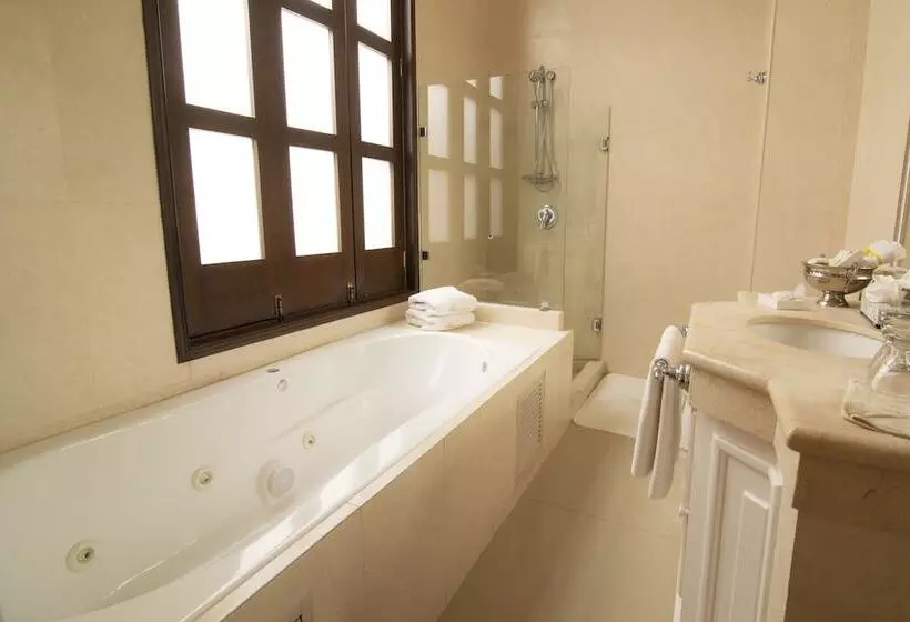 Fotos del hotel Palacio Borghese:  10