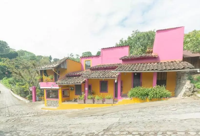 Fotos del hotel Hotel Paraje Coyopolan:  13