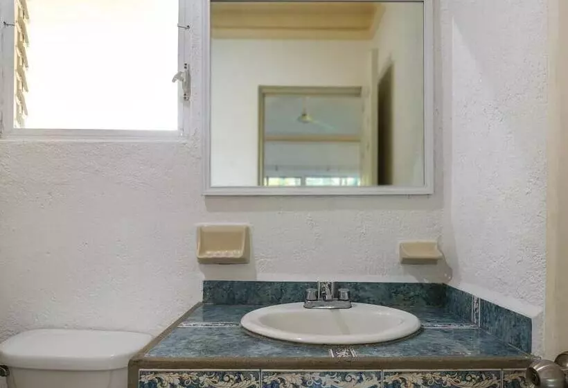 Fotos del hotel Capital O  Parotas:  6