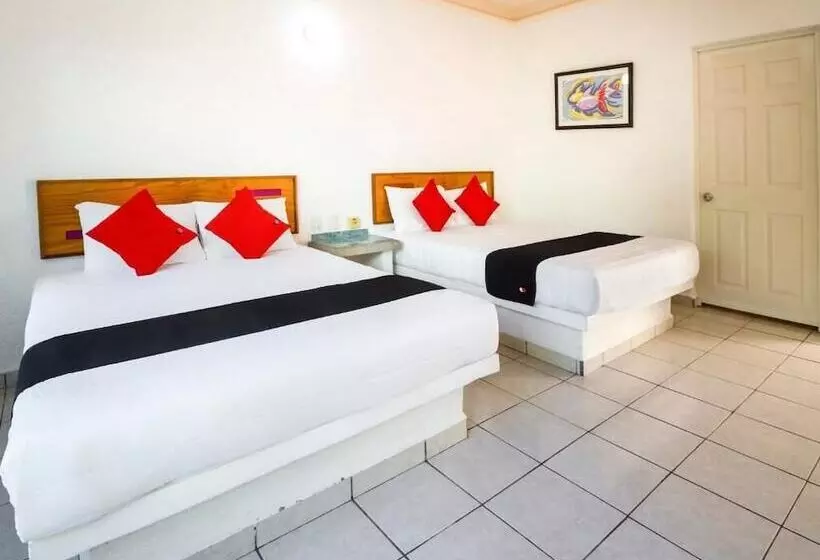 Fotos del hotel Capital O  Parotas:  16