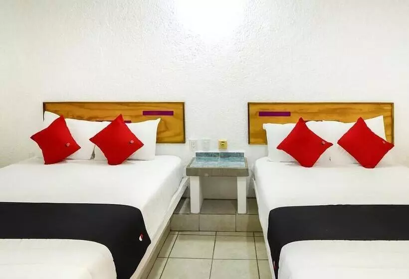 Fotos del hotel Capital O  Parotas:  22