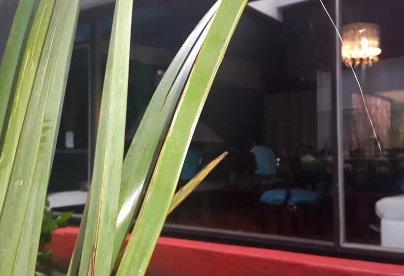 Fotos del hotel Suites Casa Lozada:  13