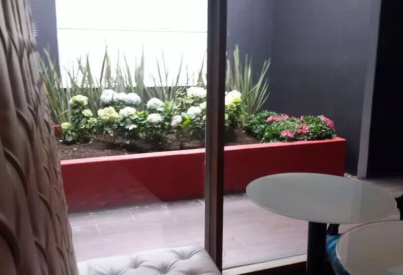 Fotos del hotel Suites Casa Lozada:  11