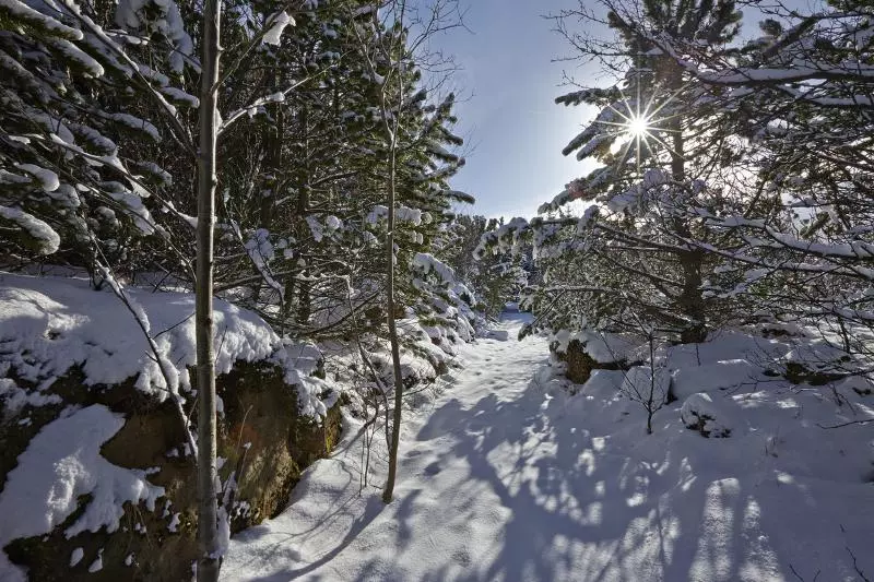 Fotos del hotel Icelandair Hotel Reykjavik Natura:  18