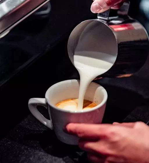 Fotos del hotel Townhouse Leipzig:  11