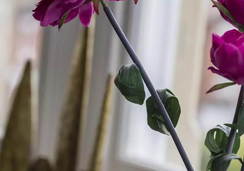 Fotos del hotel Ethos Hotel:  8