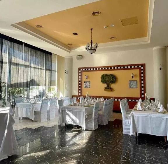 Fotos del hotel Aurelia:  20