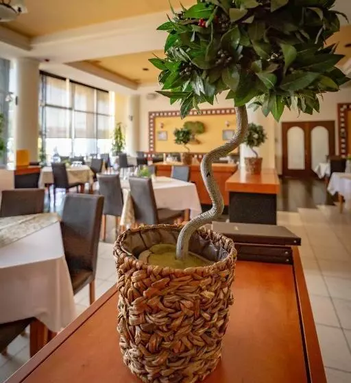 Fotos del hotel Aurelia:  12