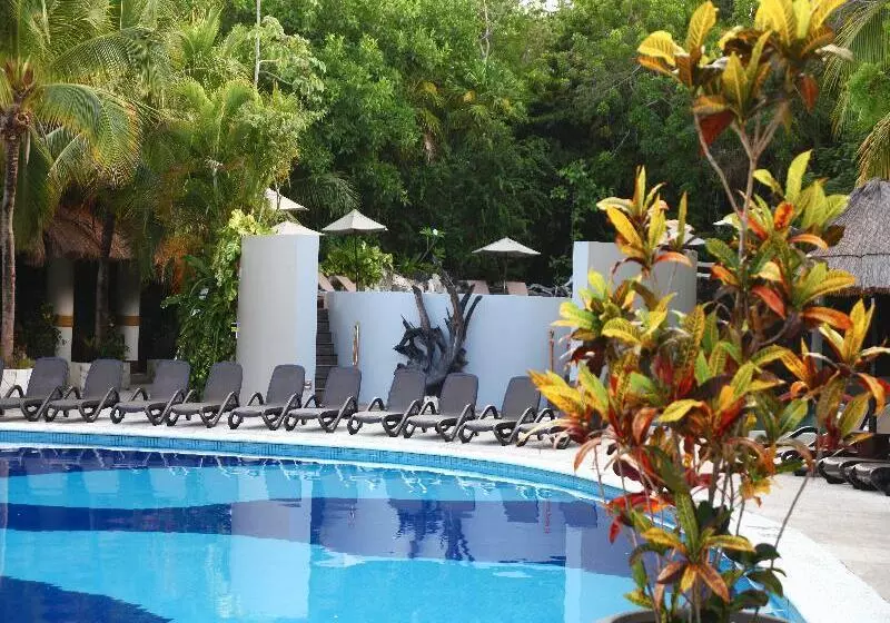 Fotos del hotel Sandos Caracol Eco Resort Select Club Adults Only All Inclusive:  19