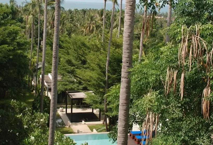 Fotos del hotel The Park Samui:  10