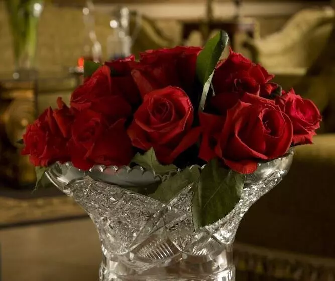 Fotos del hotel Boutique Mansion Del Rio:  16