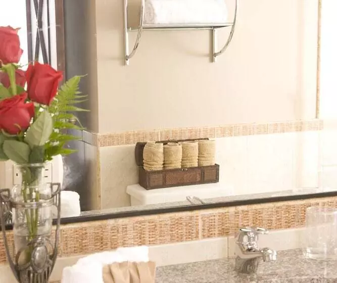 Fotos del hotel Boutique Mansion Del Rio:  4