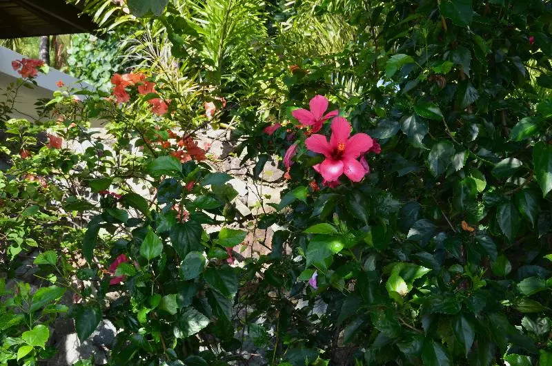 Fotos del hotel Cocotinos Sekotong, A Boutique Beach Resort & Spa:  11