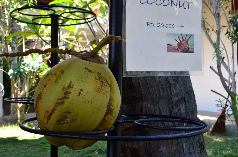 Fotos del hotel Cocotinos Sekotong, A Boutique Beach Resort & Spa:  6