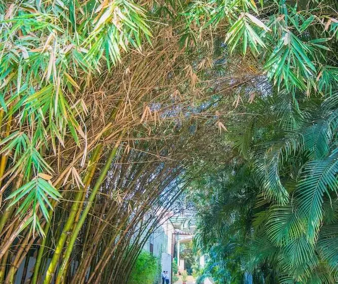 Fotos del hotel Halcyon Residences:  8