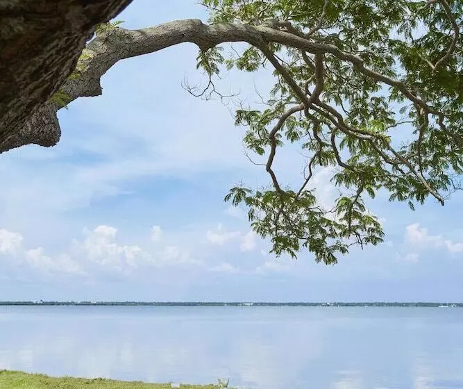 Fotos del hotel Jetwing Lagoon:  4