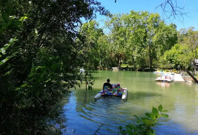 Fotos del hotel Termas Da Curia:  2