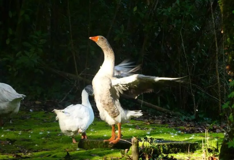 Fotos del hotel Termas Da Curia:  15