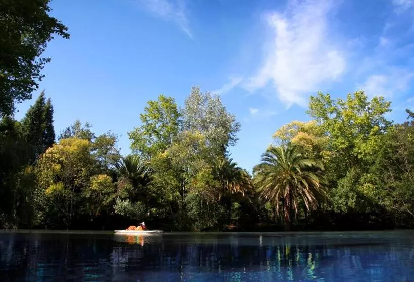 Fotos del hotel Termas Da Curia:  18