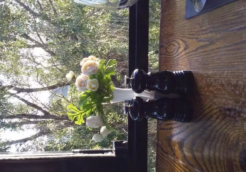 Fotos del hotel Thule:  7