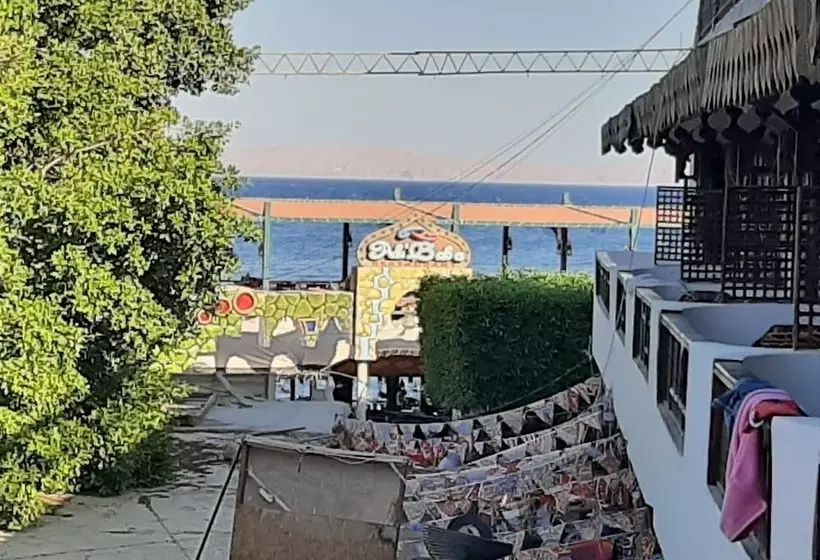 Fotos del hotel Ali Baba:  16