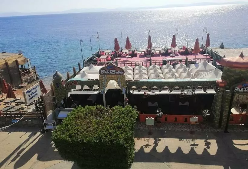 Fotos del hotel Ali Baba:  2