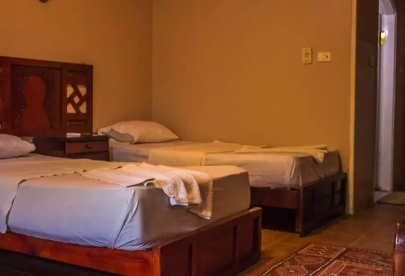 Fotos del hotel Ali Baba:  15