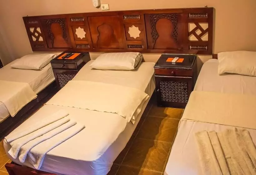 Fotos del hotel Ali Baba:  13