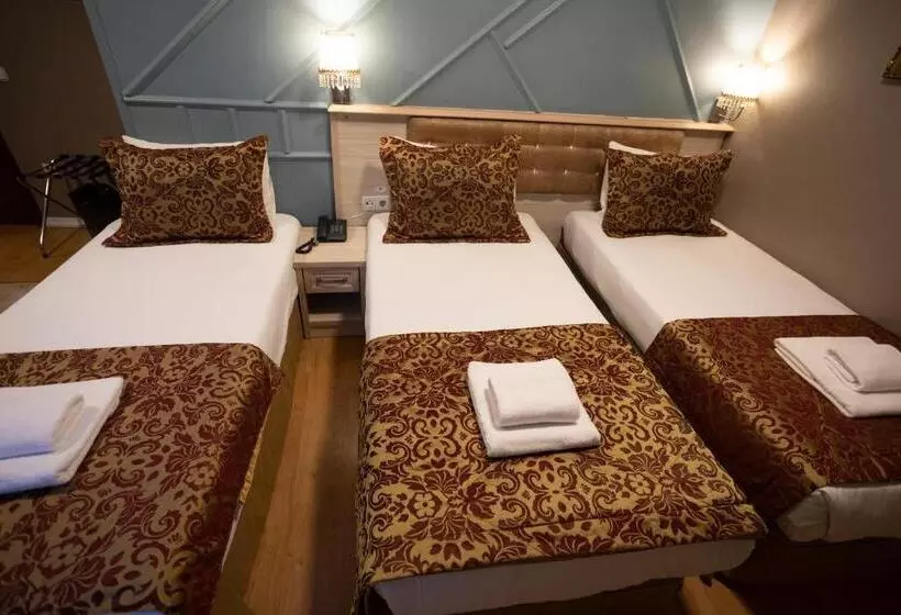 Fotos del hotel Tashkonak Studio Suites:  11