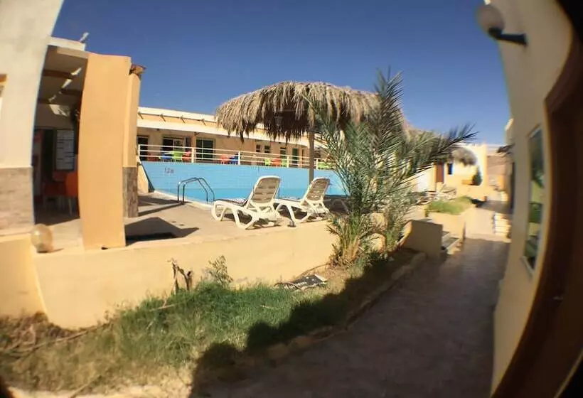 Fotos del hotel Red Sea Dive Center:  4