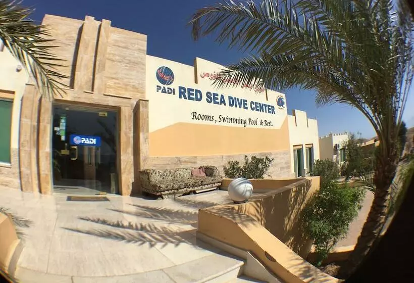 Fotos del hotel Red Sea Dive Center:  11