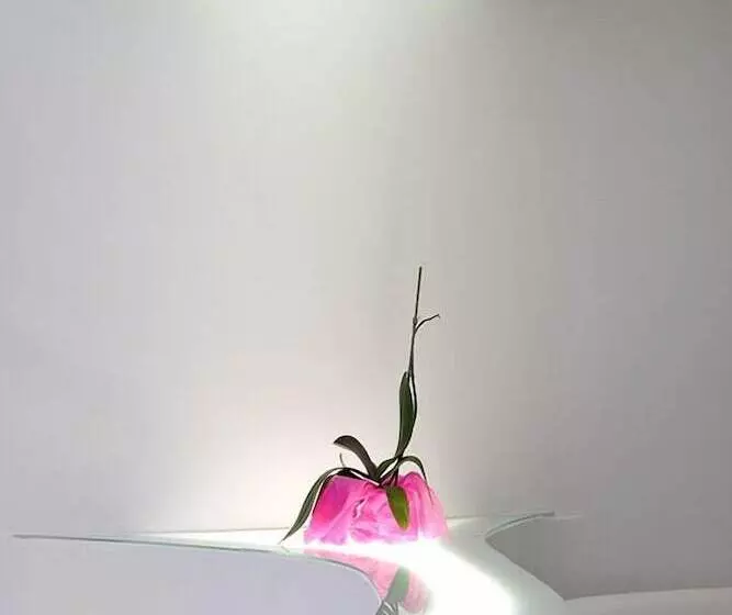 Fotos del hotel Absoluto Design Hotel:  11