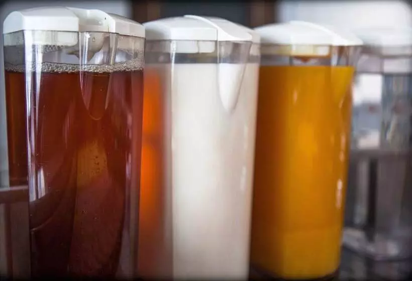 Fotos del hotel W14:  19